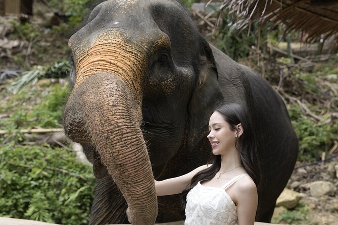 Half day with Elephants at Patong Elephant Hug （No ride No trick） - Comfort and included extras that matter in Phuket heat