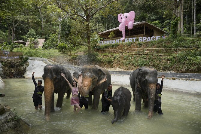 Half day with Elephants at Patong Elephant Hug （No ride No trick） - Ethics check: how to judge this kind of elephant interaction
