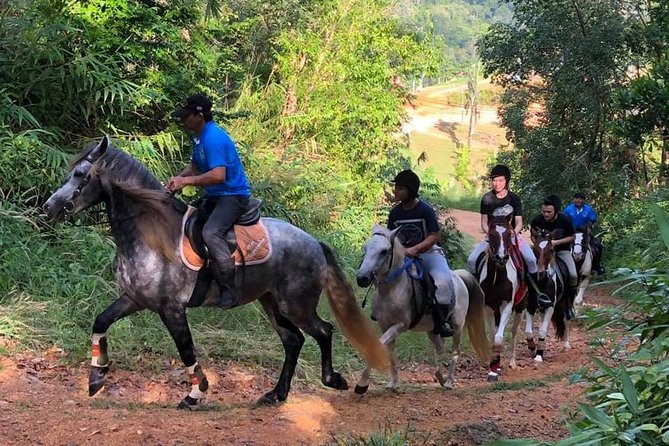 Horseback Riding 1 hour trail - Key highlights you’ll actually feel on the ride