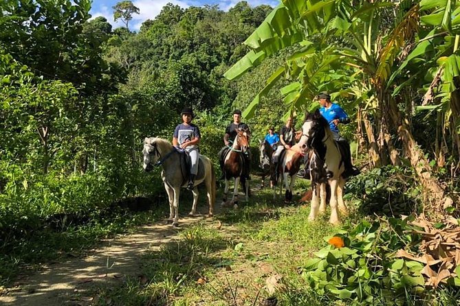 Horseback Riding 1 hour trail - Price and Value for $68: What’s Included vs. What You Need to Plan