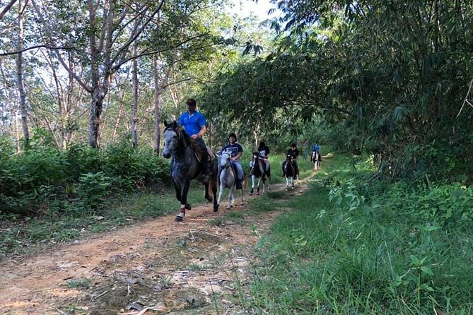 Horseback Riding 1 hour trail - Along Big Buddha Hill: Rubber Plantations, Orchard Paths, and Sea Views