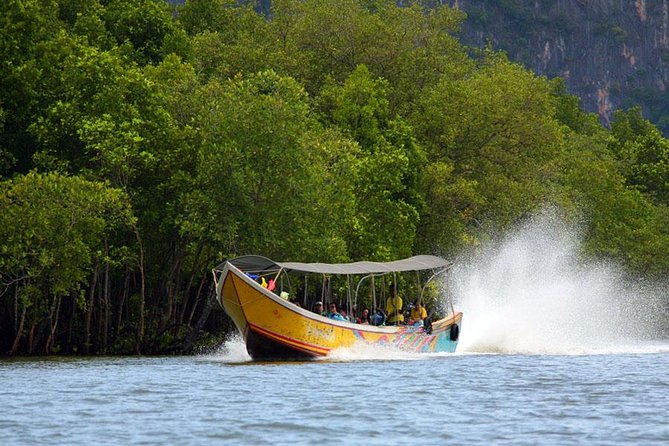 James Bond Island Day Tour by Longtail Boat - Phang Nga Bay National Park by longtail boat: close-up limestone watching