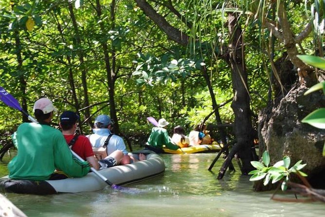 James Bond Island Sea Canoe Tour by Longtail Boat from Phuket (SHA Plus) - Sea Canoeing and Snorkeling at Koh Talu: Where the Day Gets Active