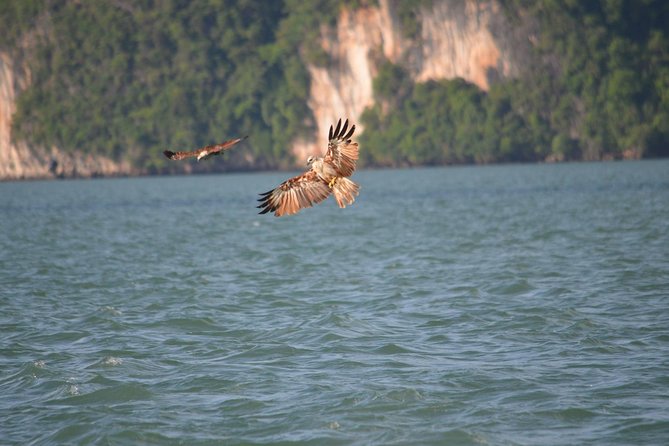 John Gray's Adventure Hong by Starlight in Phang Nga Bay - The Starlight Finale: Fireflies and Bio-luminescent Plankton in the Same Night