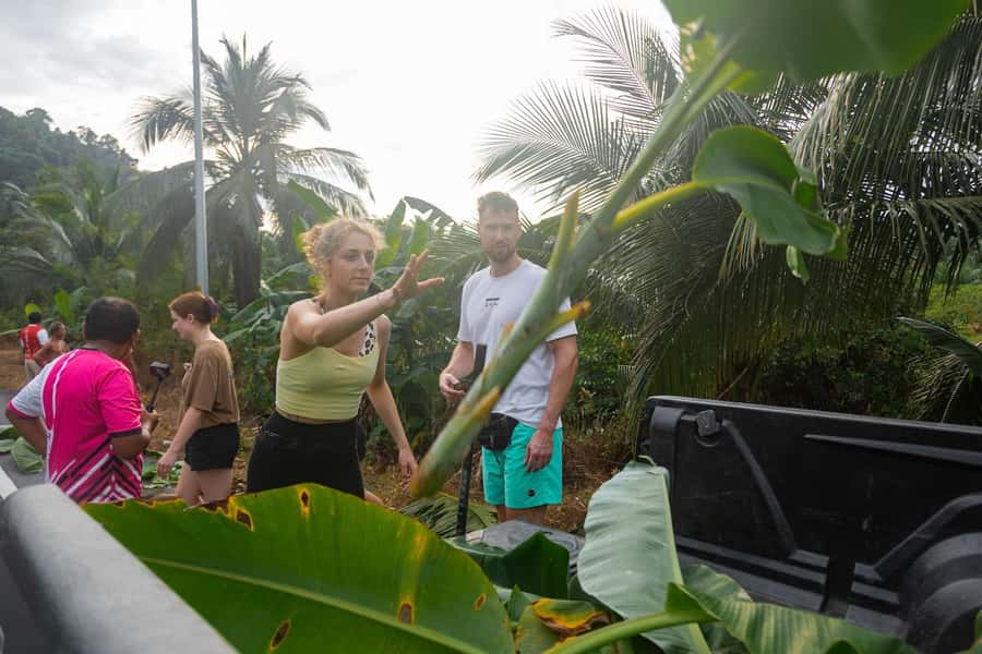 Khao Lak: All-Day Elephant Sanctuary Experience Small Groups - My practical packing list (so the day stays fun)