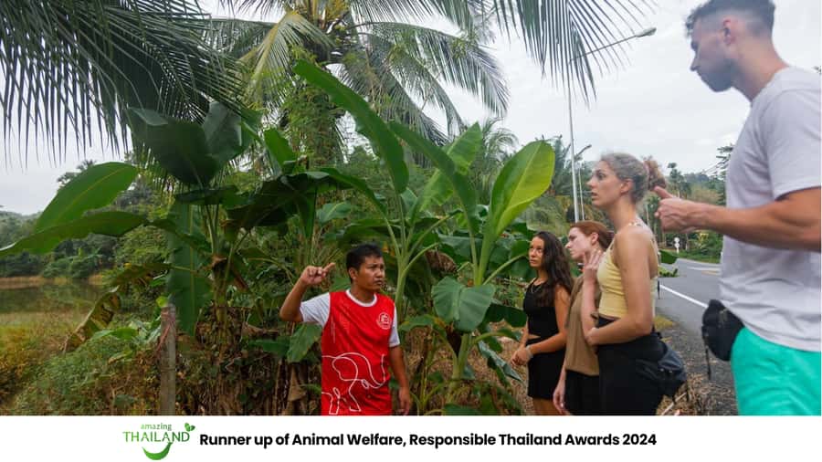 Khao Lak: All-Day Elephant Sanctuary Experience Small Groups - Khao Lak pickup and the short ride that sets the tone