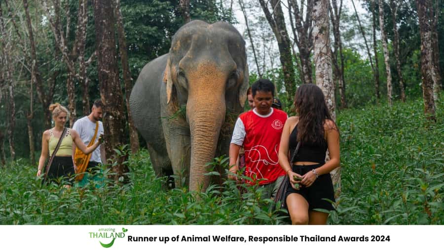 Khao Lak: All-Day Elephant Sanctuary Experience Small Groups - Elephant caretaker moments: supplements, close interactions, and water play