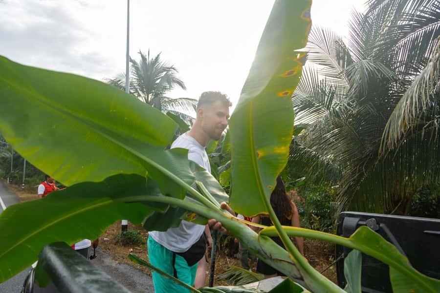 Khao Lak: All-Day Elephant Sanctuary Experience Small Groups - Rubber tapping observation and farm food sourcing: why these stops feel worth it