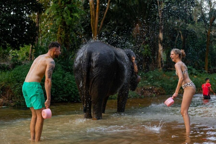 Khao Lak: All-Day Elephant Sanctuary Experience Small Groups - Thai cooking class and a real lunch you’ll actually talk about