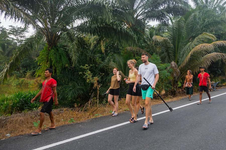 Khao Lak: All-Day Elephant Sanctuary Experience Small Groups - Price and value: is $173 fair for what you get?