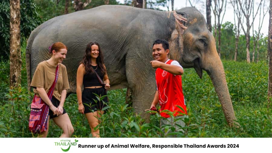 Khao Lak: Ethical Overnight Elephant Sanctuary Experience - Forest walks and river playtime: watching without crowding