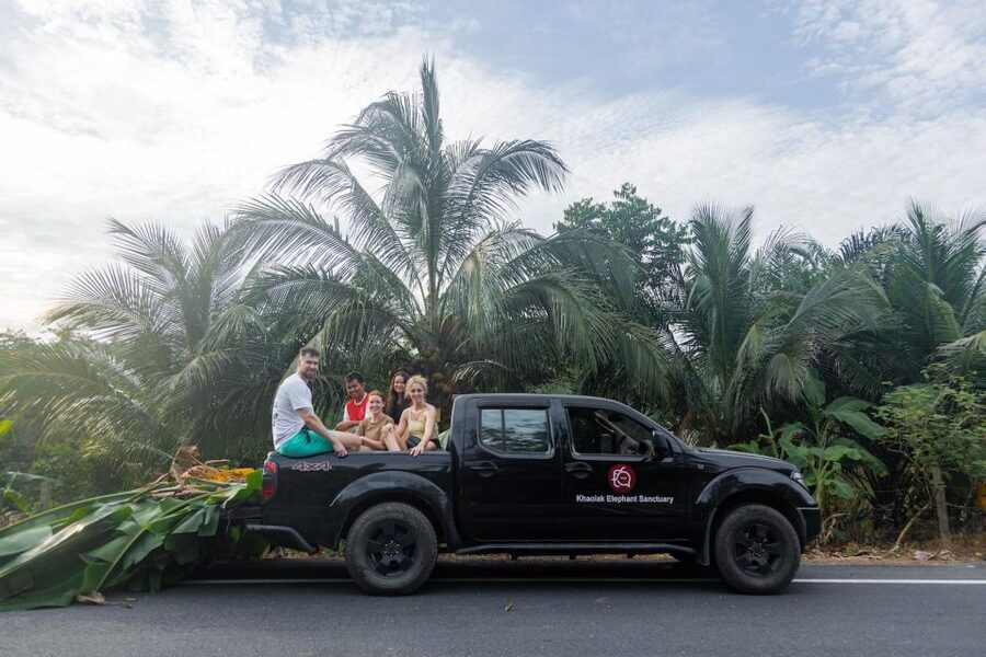 Khao Lak: Ethical Overnight Elephant Sanctuary Experience - Bamboo bungalow night: calm, practical, and built for rest