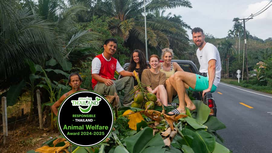 Khao Lak: Ethical Overnight Elephant Sanctuary Experience - The real flow of a two-day overnight stay