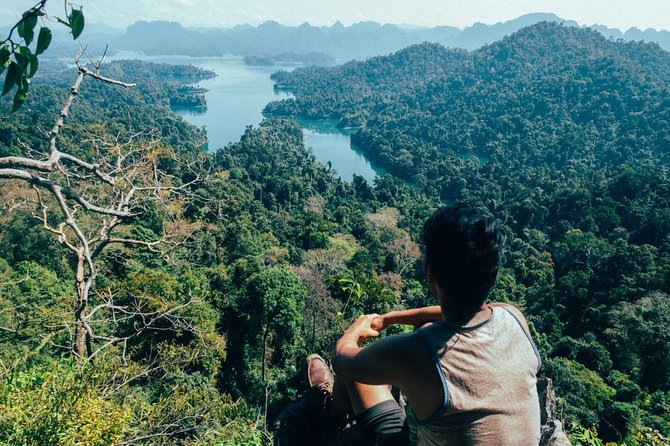 Khao Sok Adventure: Jungle Safari in Thailand’s Oldest Rainforest - Getting Out of Phuket: The 7:00am Pickup and Long Road North