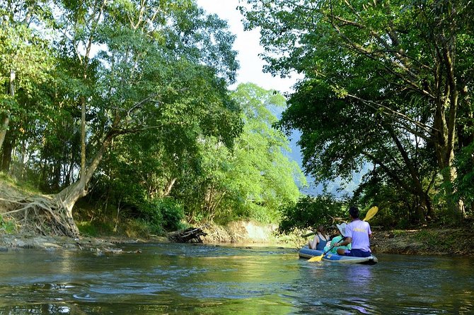 Khao Sok Adventure: Jungle Safari in Thailand’s Oldest Rainforest - Price and Value at $252.92: What You’re Actually Paying For