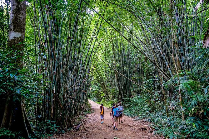 Khao Sok National Park Jungle Safari Full Day Tour from Phuket - Should you book this tour?