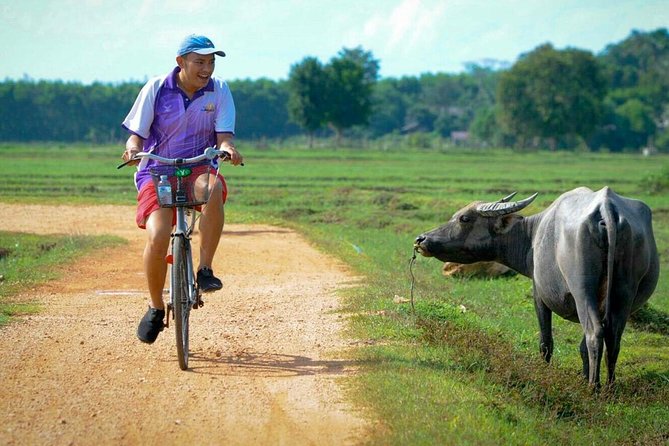 Koh Yao Noi Full Day Tour with Bike Ride & Lunch - How the 8-hour plan flows (without feeling rushed)