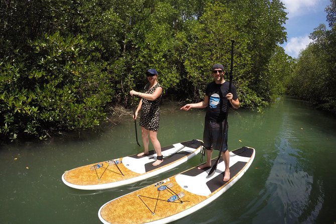 Mangroves SUP Tour Phuket - Snacks, water, and that easy half-day rhythm