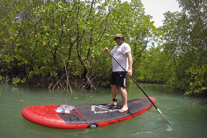 Mangroves SUP Tour Phuket - Price and value: is $55.45 a good deal?