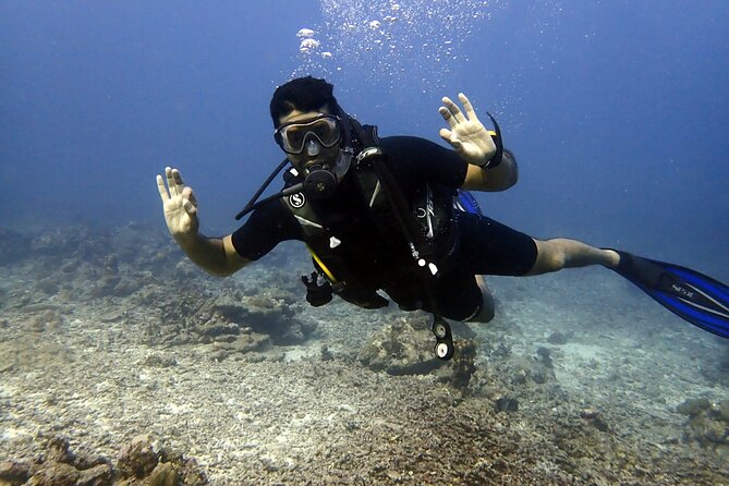 PADI Discover Scuba 2 Times Diving Phuket - What you’ll see: colorful fish, calm reefs, and how to enjoy it