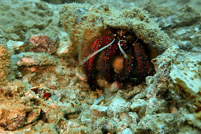 PADI Discover Scuba 2 Times Diving Phuket - Group size, instructor style, and who this fits best