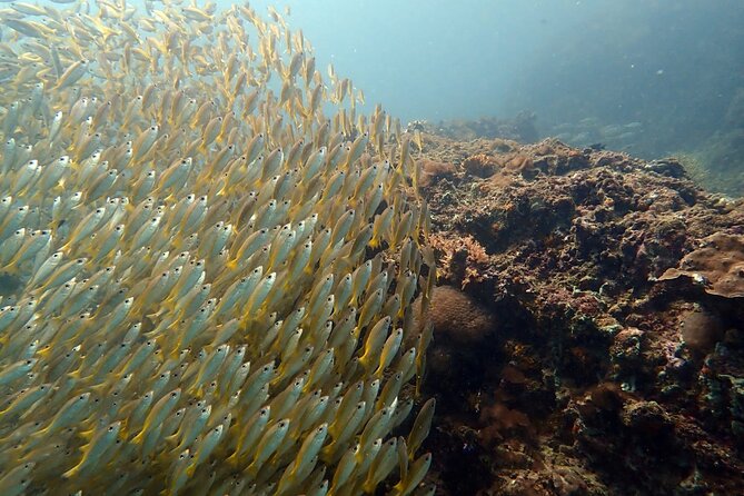 PADI Discover Scuba 2 Times Diving Phuket - Price and what the $220.25 buys you (and what it doesn’t)