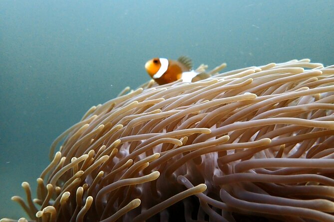 PADI Discover Scuba 2 Times Diving Phuket - Should you book this Phuket PADI program?