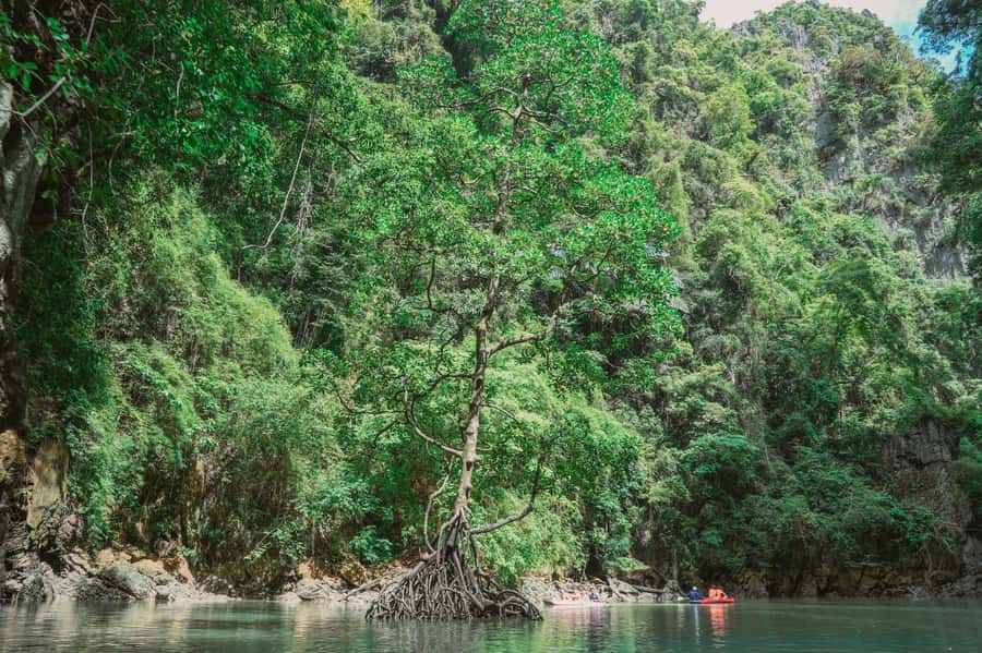 Phang Nga Bay Day Tour & Canoeing by Big Boat (Not crowded) - Swimming and relaxing: when the day gets easier