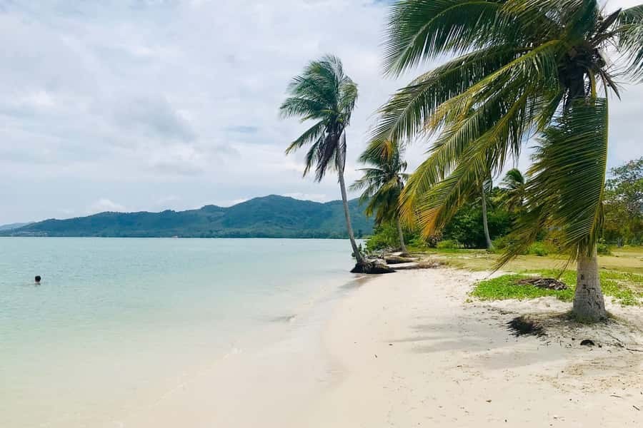 Phang Nga Bay: Early Bird James Bond & Beyond Tour - Koh Panak and Koh Phanak caves: monkeys, lagoon life, and animal-shaped rocks