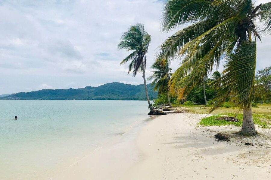 Phang Nga Bay: Early Bird James Bond & Beyond Tour - Tum Lod Nai canoeing: slow paddling through mangrove tunnels