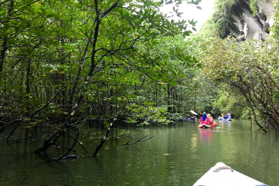 Phang Nga Bay: Early Bird James Bond & Beyond Tour - Khao Phing Kan swim stop: a quick reset in warm water