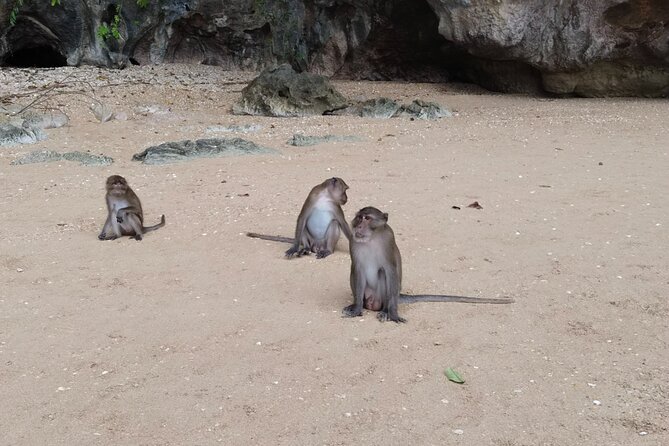 Phang Nga Bay Island Boat Tour By Speedboat By Phuket Sail Tours - James Bond Island: cruise-by photos without the shore crowds