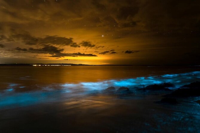 Phang Nga Bay Private Bioluminescence and Sea Canoeing Tour - Phanak Island (Monkey Island) and its cave-country feel
