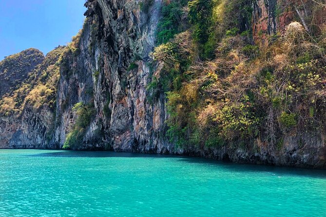 Phang Nga Bay Private Bioluminescence and Sea Canoeing Tour - Phang Nga Bay bioluminescence: what you’re really paying for