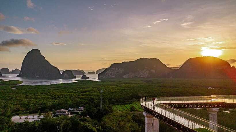 Phang Nga Bay: Skywalk at Samet Nangshe Entry Ticket - Wandering the mangrove forest and river network on the ground