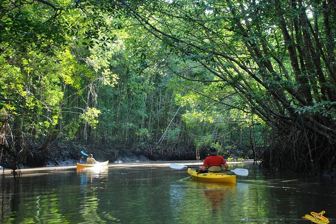 Phang Nga Bay Starlight by John Gray Sea Canoe - Stop 1: Hongs of Phang Nga and the “Room” Caves