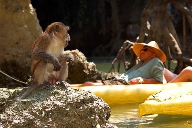 Phang Nga Bay Starlight by John Gray Sea Canoe - Wildlife, Night Atmosphere, and What You’ll Actually Notice