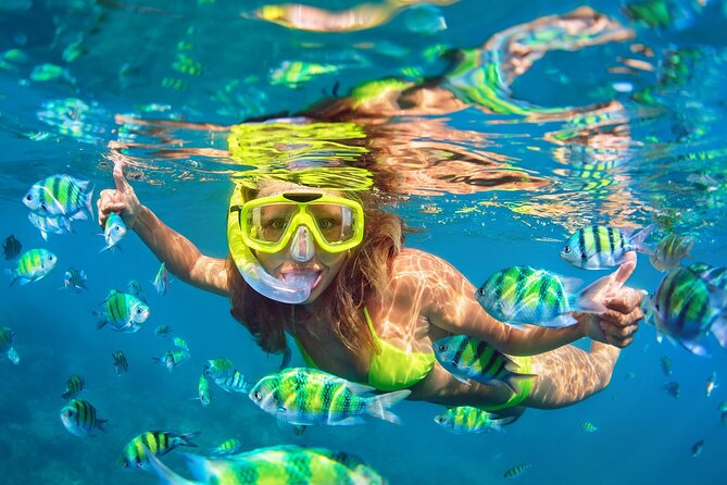 Phi Phi and Khai Islands Snorkeling Tour with Lunch by Speedboat - Ko Phi Phi Lee: quick bays and dramatic cliff views