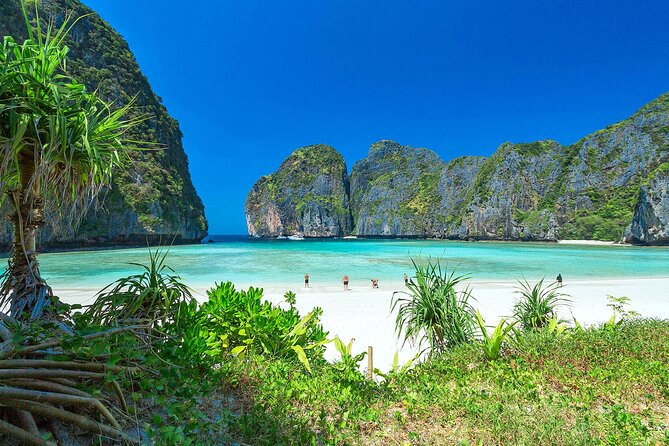 Phi Phi & Bamboo Island Full Day Tour by Premium Speed-Catamaran - Stop 4: Monkey Beach quick boat viewing