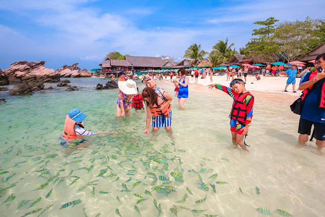 Phi Phi Island from Phuket by Speedboat (SHA Plus) - Monkey Beach on Phi Phi: Fun Photos, Real Animals