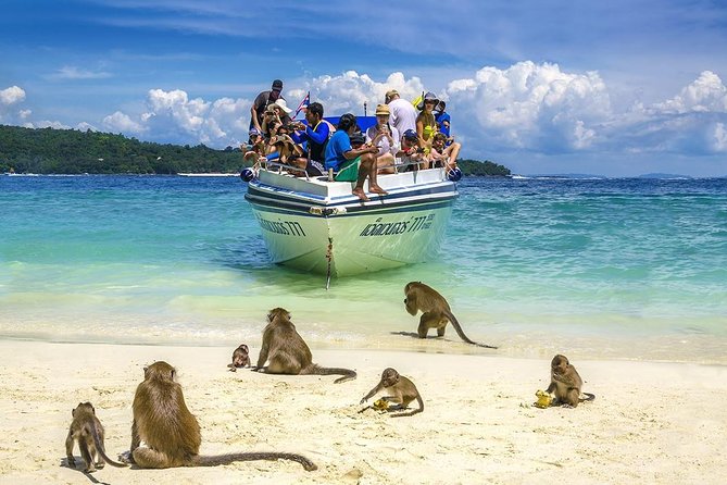 Phi Phi Island from Phuket by Speedboat (SHA Plus) - Who This Tour Suits (and Who Might Be Happier Elsewhere)