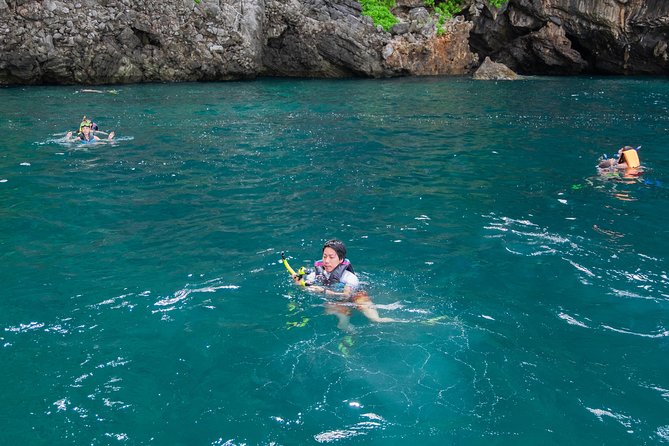 Phi Phi Islands Adventure Day Trip w/ Seaview Lunch by V. Marine - Monkey Beach and the monkey rule: close to wildlife, not up in their space