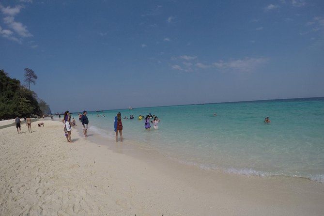 Phi Phi Islands Day Tour Bamboo and Maya Bay with Lunch By Speedboat - Phi Phi Don lunch on the island: buffet fuel with a beach break