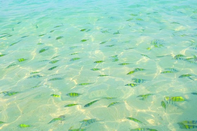Phi Phi Islands One Day Tour by Speedboat From Phuket - Who should book this one-day Phi Phi speedboat tour