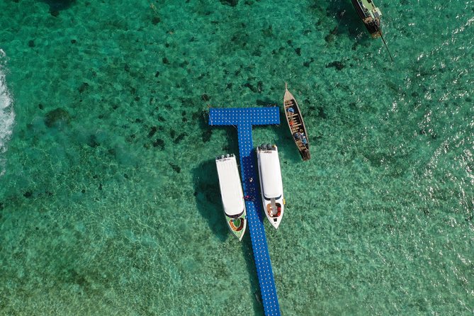 Phi Phi Islands PRIVATE SPEEDBOAT TOUR - Snorkeling near Phi Phi Don + Viking Cave: marine life and swallow-nest lore