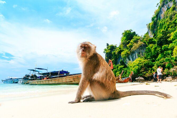 Phi Phi, James Bond & Krabi Overnight - Exclusive 2D1N - Phi Phi Don Hotel and Evening Nightlife Program (Yes, It’s Included)