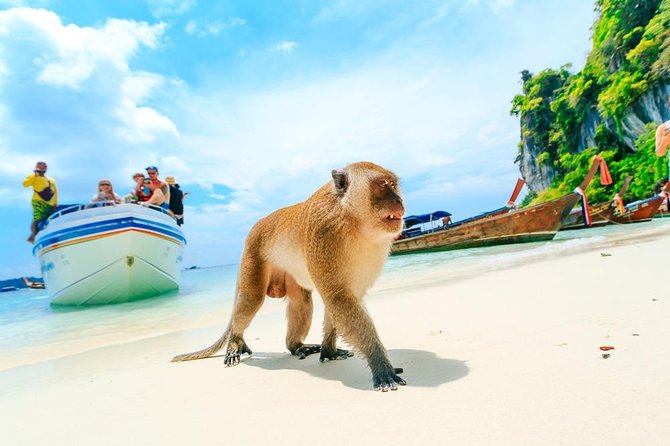 Phi Phi , Khai & Maya : Unforgettable Island Hopping by Speedboat - Ko Phi Phi Don: snorkeling timing, Arida Restaurant lunch, and beach time