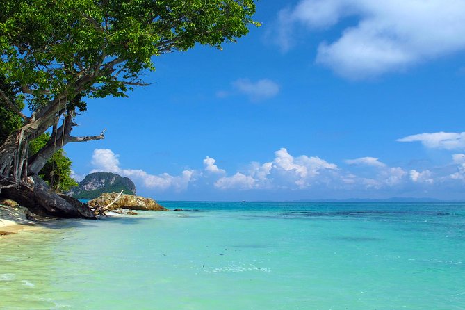 Phi Phi & Maya Bay Speedboat: All-Day Food & Choice of 3 Marinas - Maya Bay From The Beach: What You Can Do There