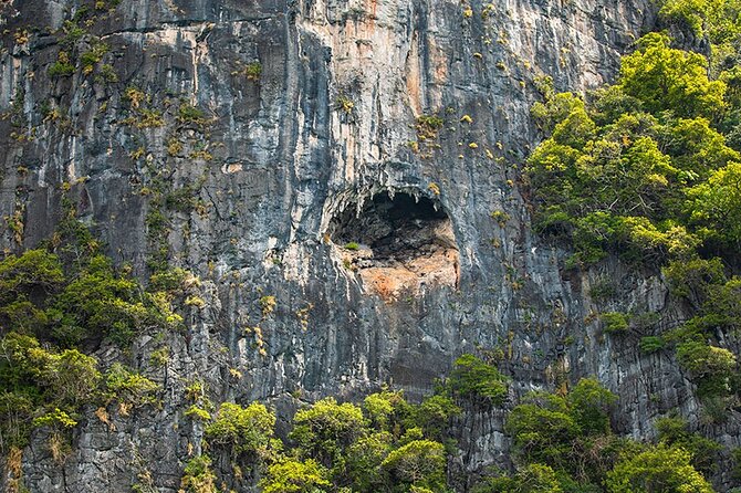 Phi Phi, Maya, Khai and Pileh Day Trip by Speed Catamaran From Phuket - Pileh Bay and Viking Cave: Quick Sightseeing on the Schedule