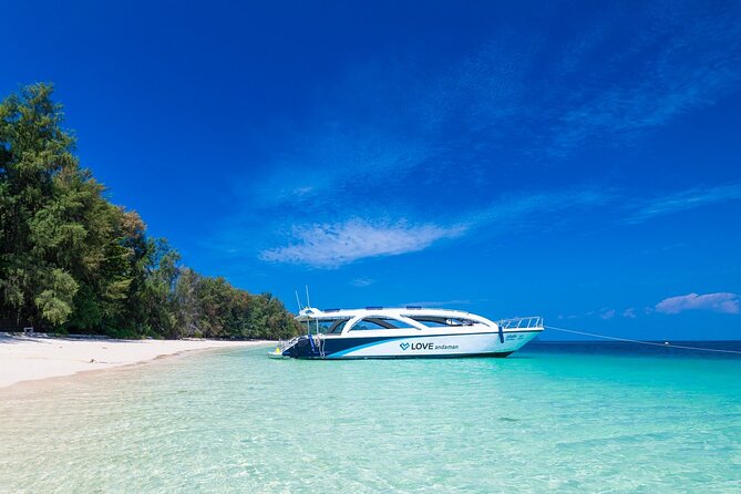Phi Phi Speedboat Day Trip: Maya Bay, Bamboo & Seaview Lunch - Viking Cave and Monkey Beach: quick sightings, not a long stop
